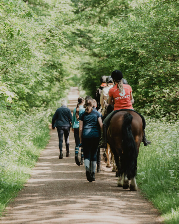 Buitenrit